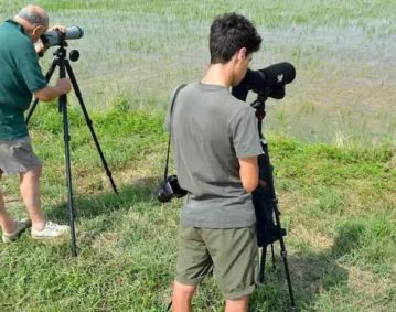Due persone di età differenti attendono sul margine della risaia a coltivazione biologica di osservare uccelli migratori. Entrambi sono vestiti sui toni del verde e dispongono di binocoli professionali con treppiede.